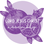 Jesus Christ is God